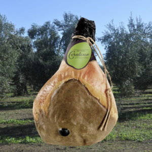 PROSCIUTTO CRUDO STAGIONATO 100% ITALIANO CORATINO® CON OSSO